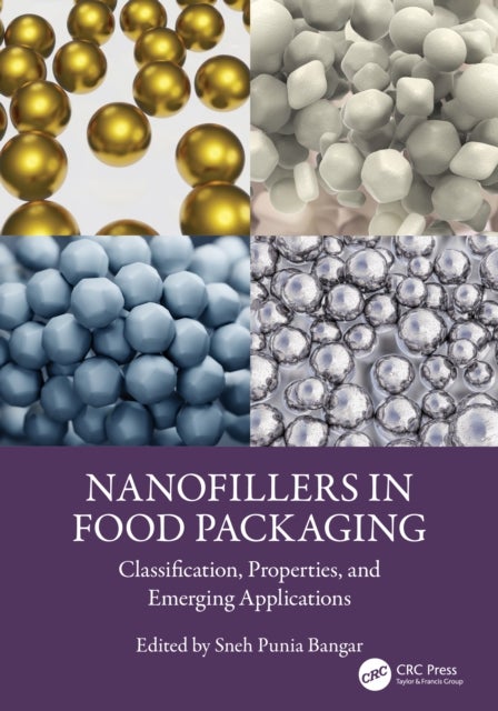 Nanofillers in Food Packaging - Classification, Properties, and Emerging Applications