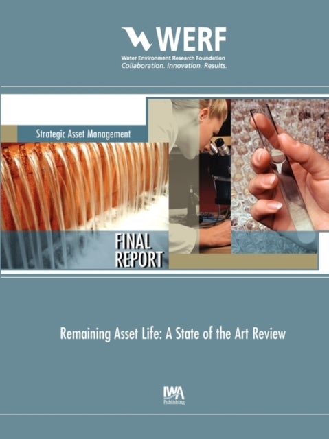 Remaining Asset Life - A State of the Art Review