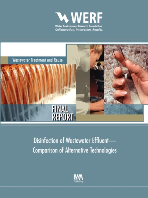 Disinfection of Wastewater Effluent—Comparison of Alternative Technologies