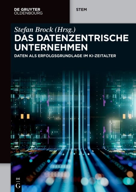 datenzentrische Unternehmen - Daten ALS Erfolgsgrundlage Im Ki-Zeitalter