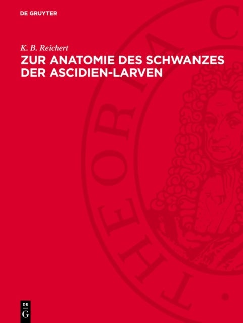 Zur Anatomie des Schwanzes der Ascidien-Larven - (Botryllus violaceus)