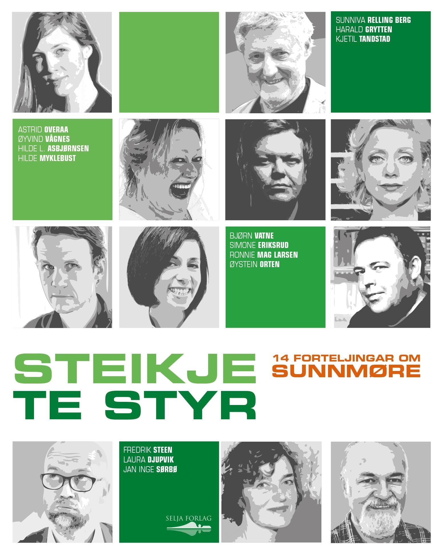 Steikje te styr - 14 forteljingar om Sunnmøre
