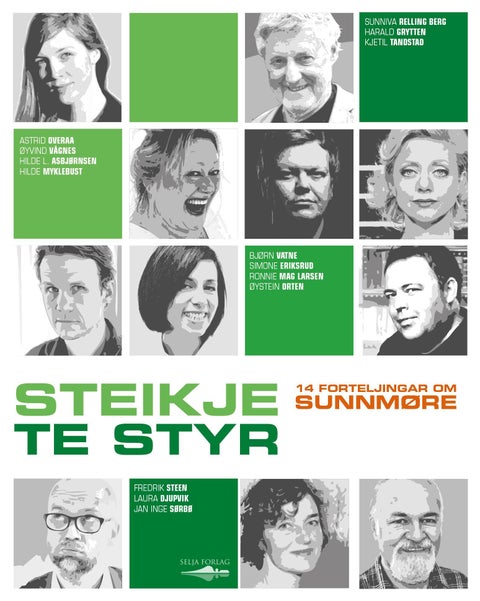 Steikje te styr - 14 forteljingar om Sunnmøre