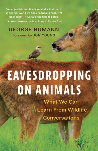 Eavesdropping on Animals - What We Can Learn From Wildlife Conversations