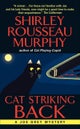 Cat Striking Back