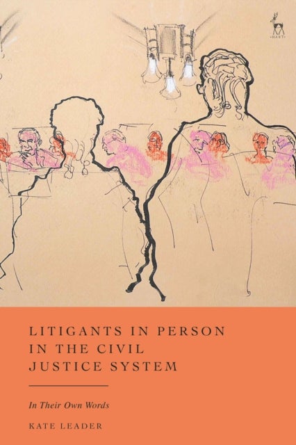 Litigants in Person in the Civil Justice System - In Their Own Words