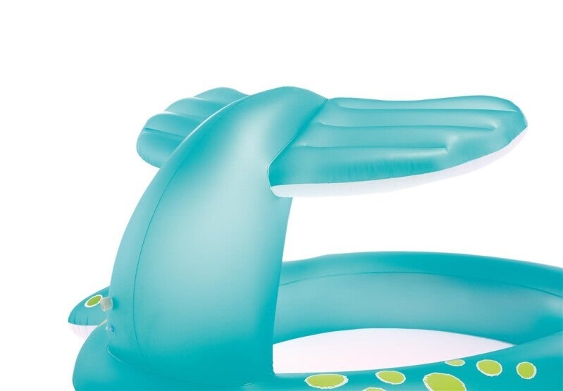 Basseng hval med spray Intex