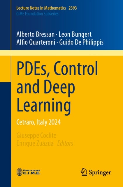 PDEs, Control and Deep Learning - Cetraro, Italy 2024