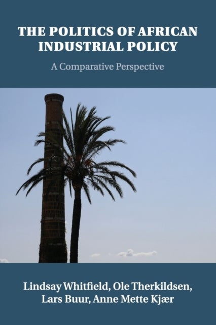 The Politics of African Industrial Policy - A Comparative Perspective