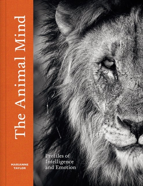 The Animal Mind - Profiles of Intelligence and Emotion