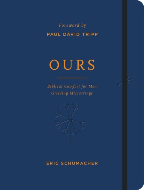 Ours - Biblical Comfort for Men Grieving Miscarriage