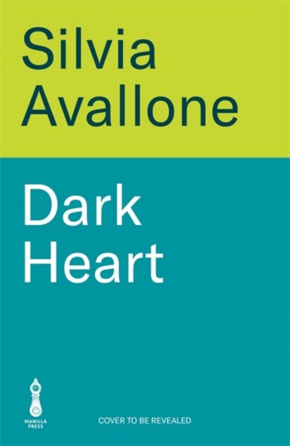 Dark Heart - The unforgettable, award-winning international bestseller - a story of love, guilt, betrayal and atonement