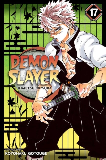 Demon Slayer: Kimetsu no Yaiba, Vol. 17 - Successors