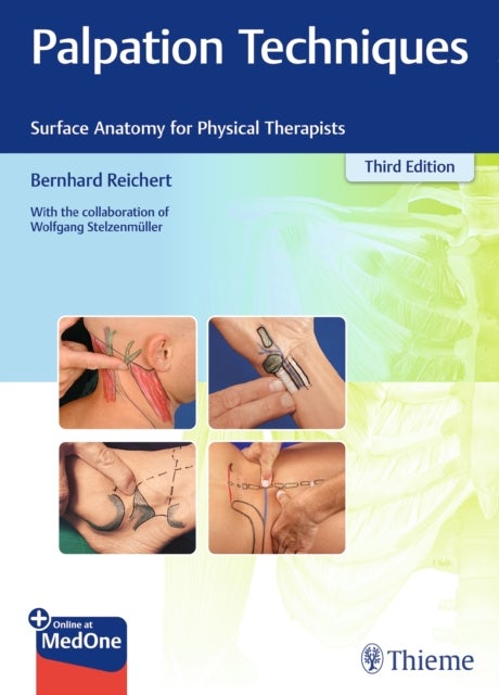 Palpation Techniques - Surface Anatomy for Physical Therapists