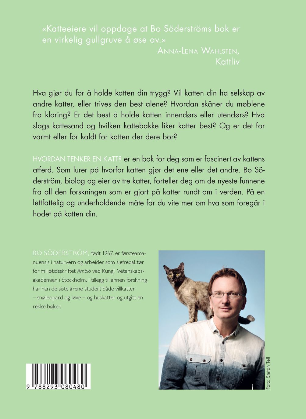 Hvordan tenker en katt?