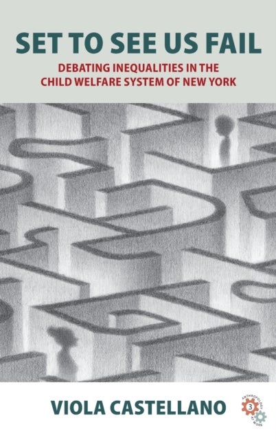 Set to See Us Fail - Debating Inequalities in the Child Welfare System of New York