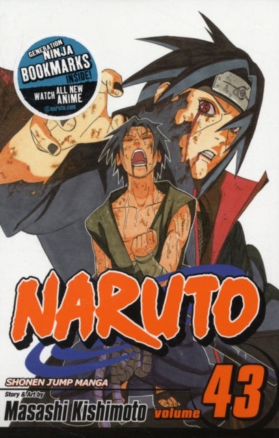 Naruto, Vol. 43 - The Man with the Truth