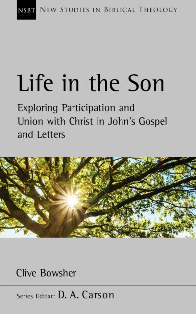 Life in the Son - Exploring participation and union with Christ in John’s Gospel and letters