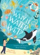 Why Is Water Wet?