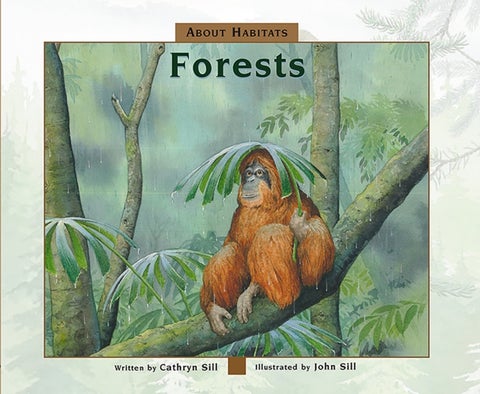 About Habitats: Forests - (A Classroom-Friendly Science Resource for Exploring Forest Ecosystems for Preschoolers, 1st and 2nd Graders)