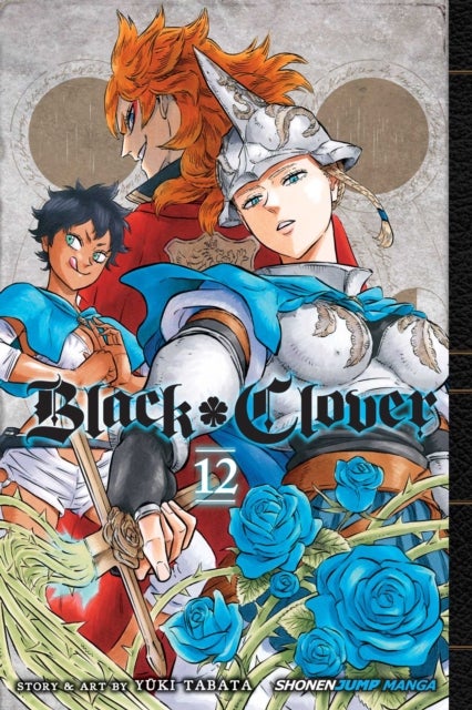 Black Clover, Vol. 12 - The Briar Maiden's Melancholy