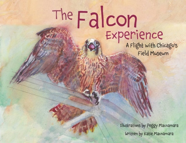 The Falcon Experience - A Flight with Chicago's Field Museum