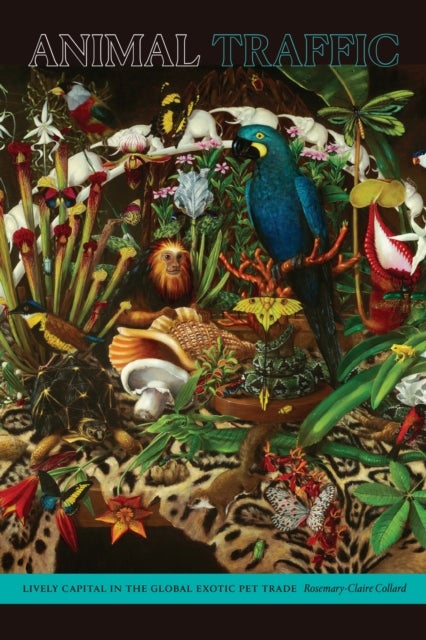 Animal Traffic - Lively Capital in the Global Exotic Pet Trade