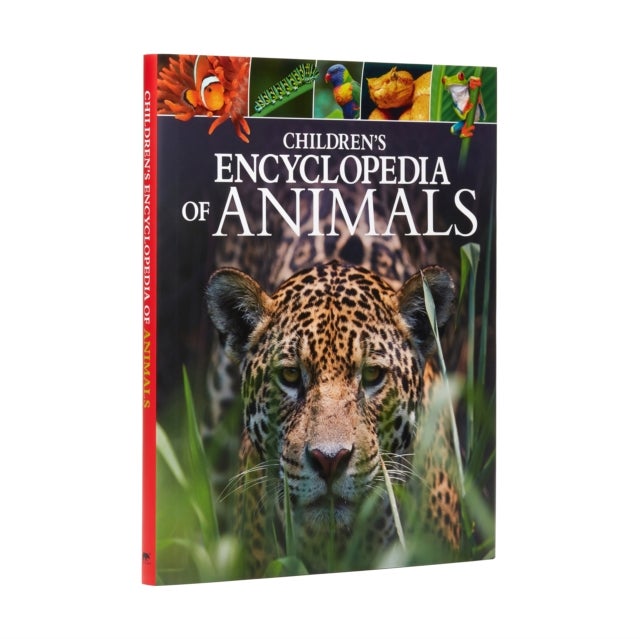 Children's Encyclopedia of Animals - A Visual Guide to the Animal Kingdom