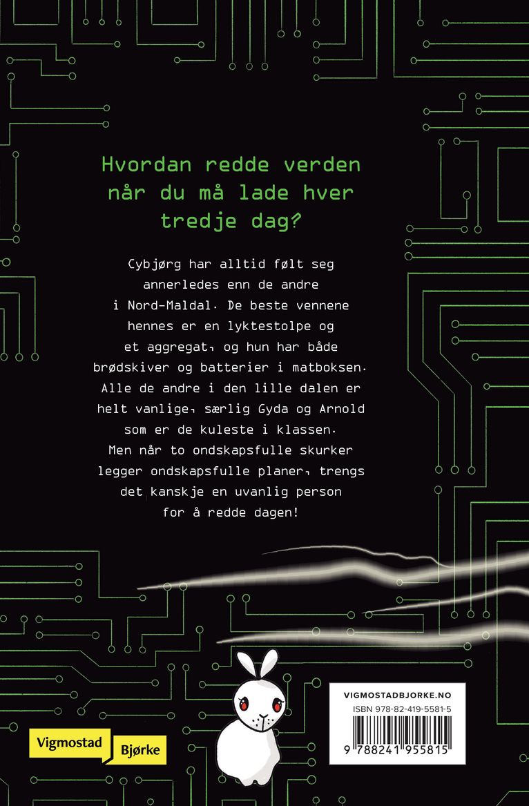 Cybjørg