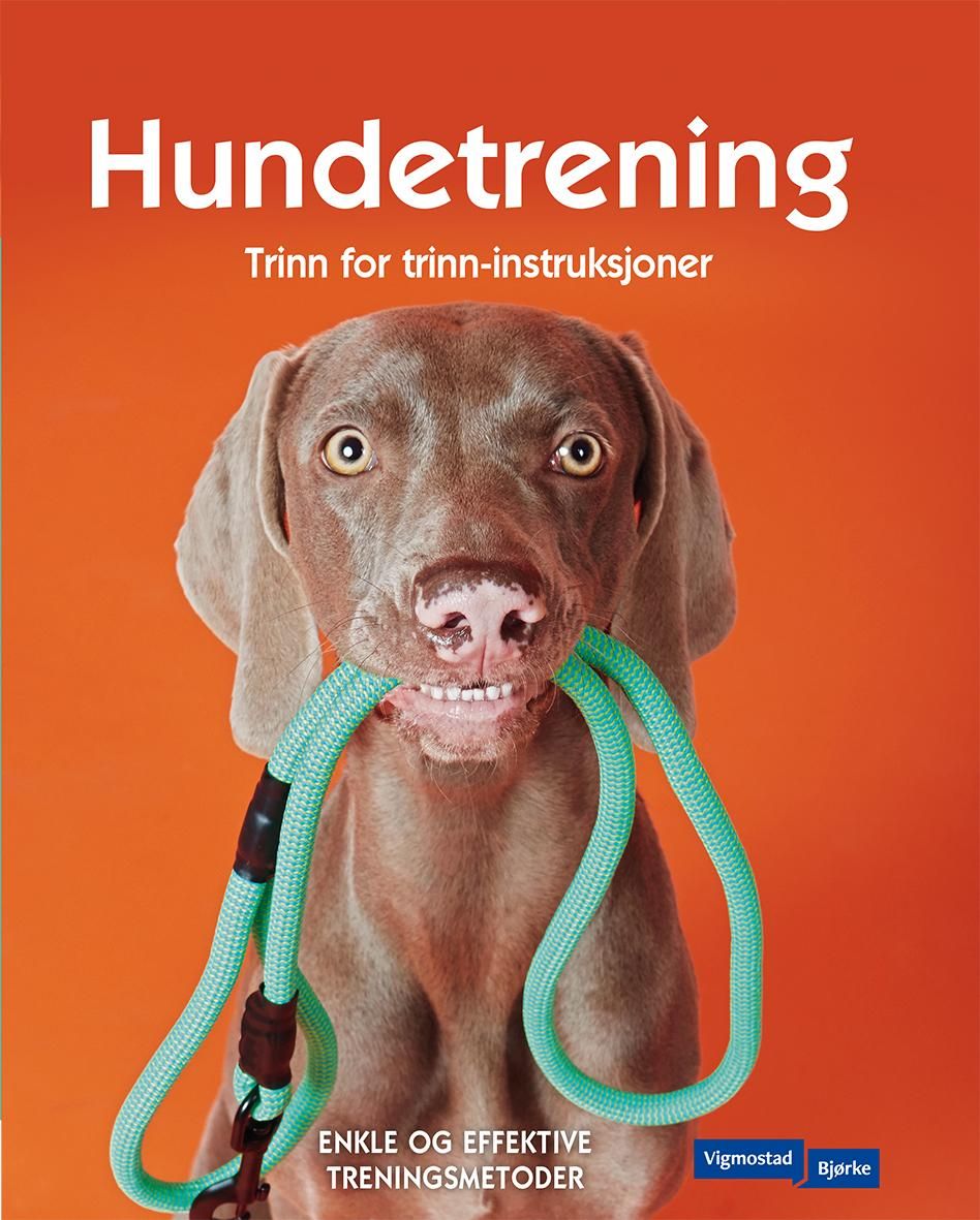 Hundetrening - trinn for trinn-instruksjoner