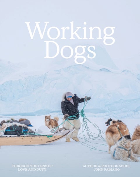 Working Dogs - Through the lens of love & duty