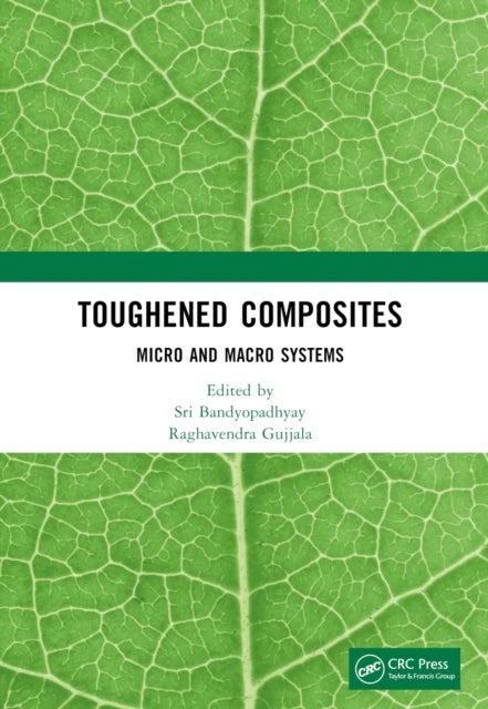 Toughened Composites - Micro and Macro Systems