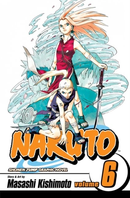 Naruto, Vol. 6 - Predator