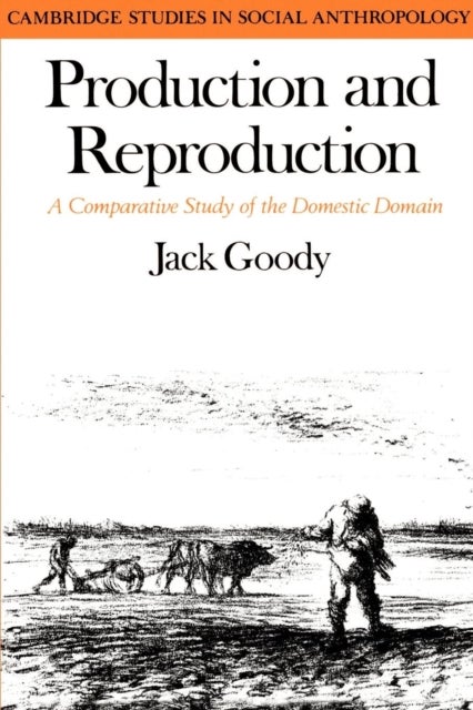 Production and Reproduction - A Comparative Study of the Domestic Domain