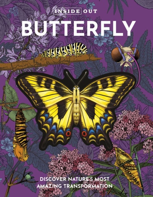 Inside Out Butterfly - Discover Nature's Most Amazing Transformation