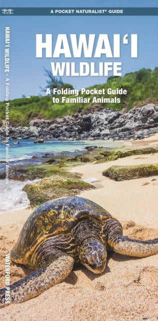 Hawai'i Wildlife, 2nd Ed - A Folding Pocket Guide to Familiar Animals