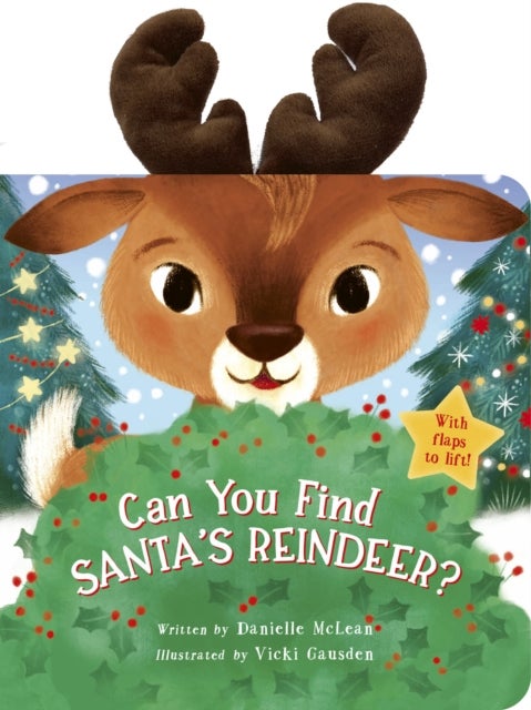 Can You Find Santa's Reindeer? - With flaps to lift!