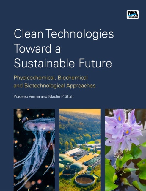 Clean Technologies Toward a Sustainable Future - Physicochemical, Biochemical and Biotechnological Approaches