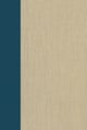Terrorism Documents of International and Local Control: Volume 89