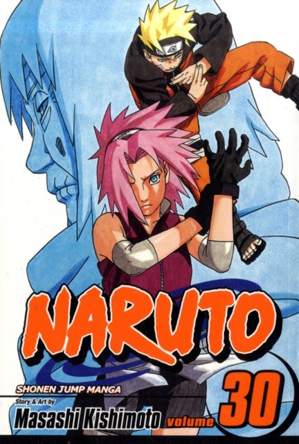 Naruto, Vol. 30 - Puppet Masters