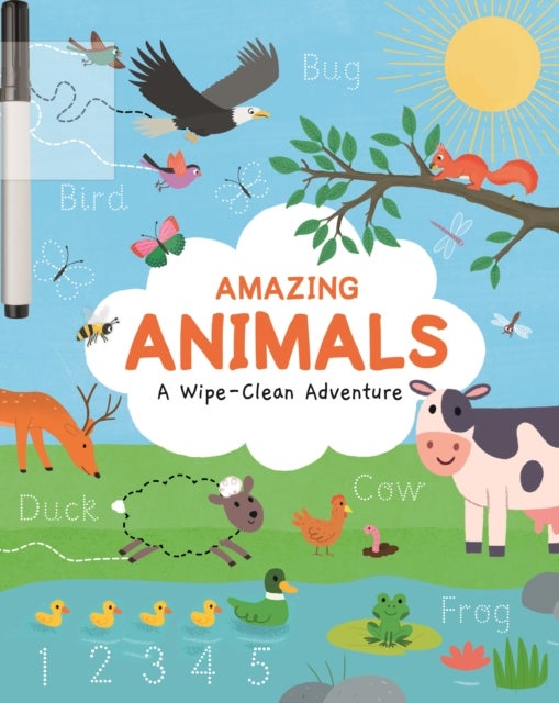 Amazing Animals