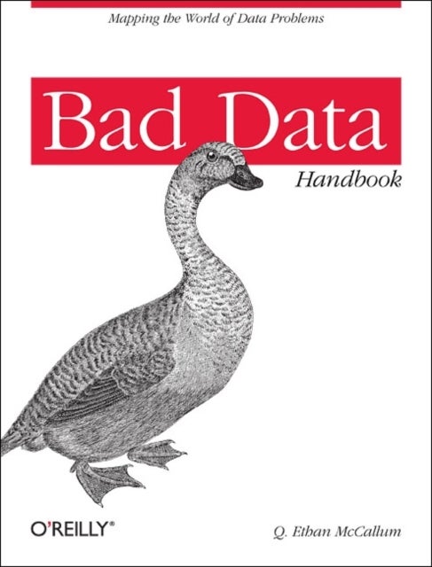 Bad Data Handbook - Cleaning Up the Data So You Can Get Back to Work