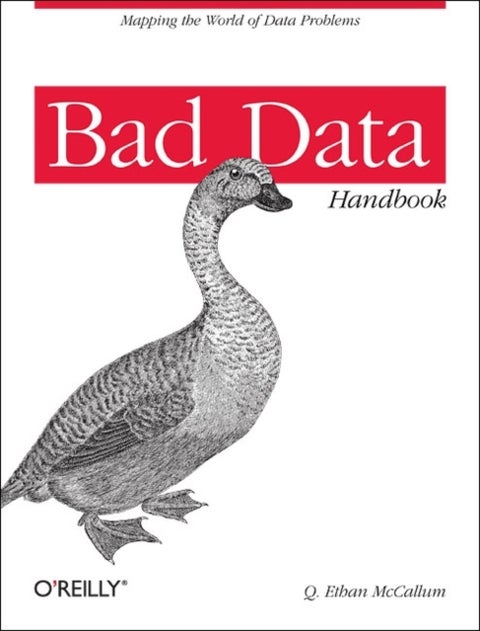 Bad Data Handbook - Cleaning Up the Data So You Can Get Back to Work