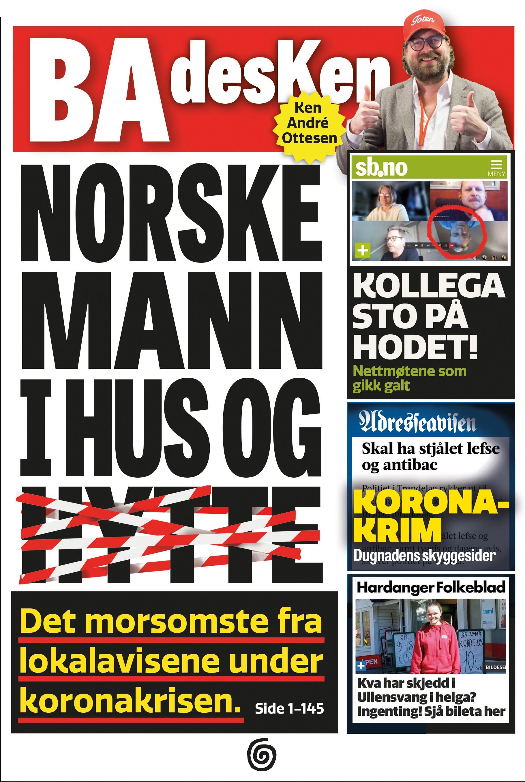 Norske mann i hus og hytte