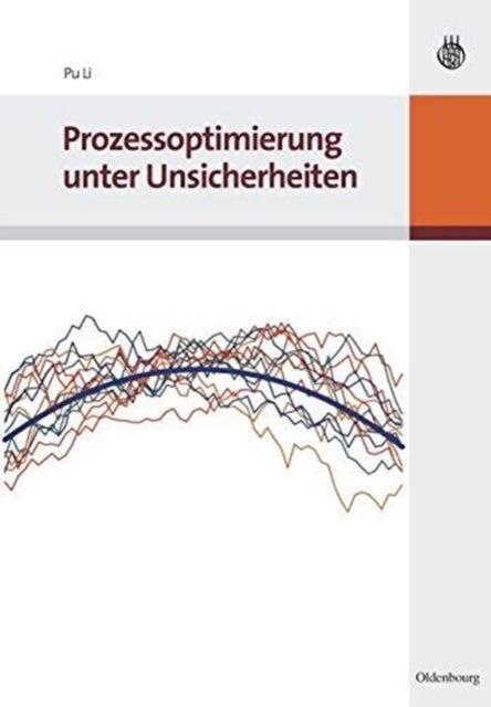 Prozessoptimierung unter Unsicherheiten