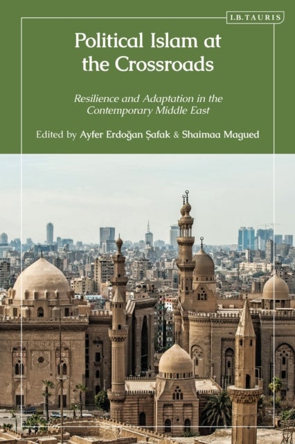 Political Islam at the Crossroads - Resilience and Adaptation in the Contemporary Middle East