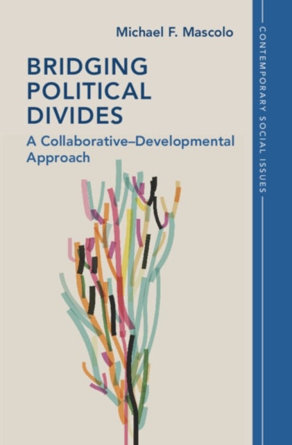 Bridging Political Divides - A Collaborative–Developmental Approach