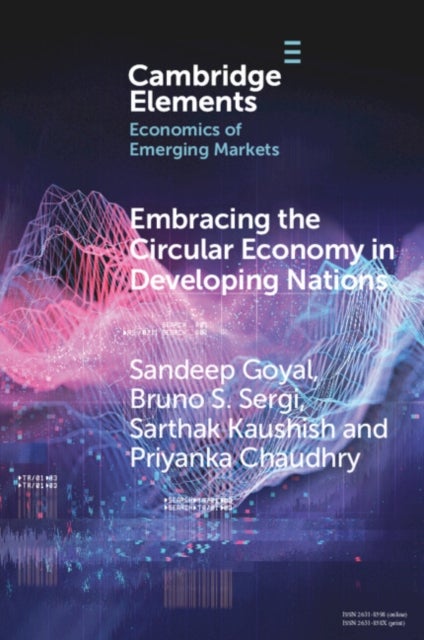 Embracing the Circular Economy in Developing Nations - A Pathway to Sustainable Growth and Resilience