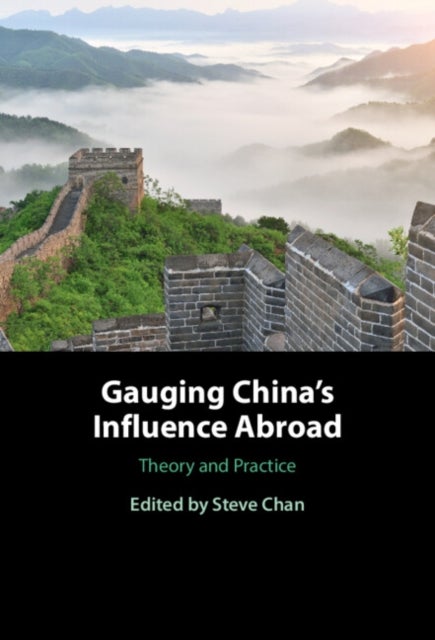 Gauging China's Influence Abroad - Theory and Practice