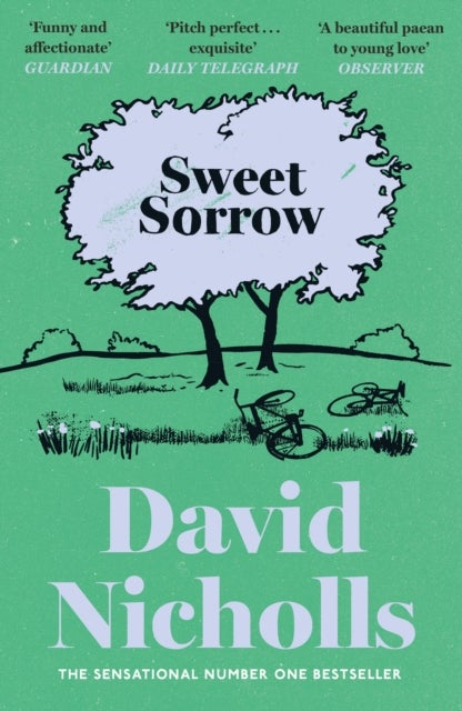 Sweet Sorrow - The Sunday Times bestselling novel of first love from the author of ONE DAY and YOU ARE HERE
